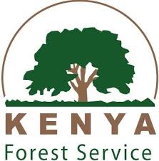 KFS