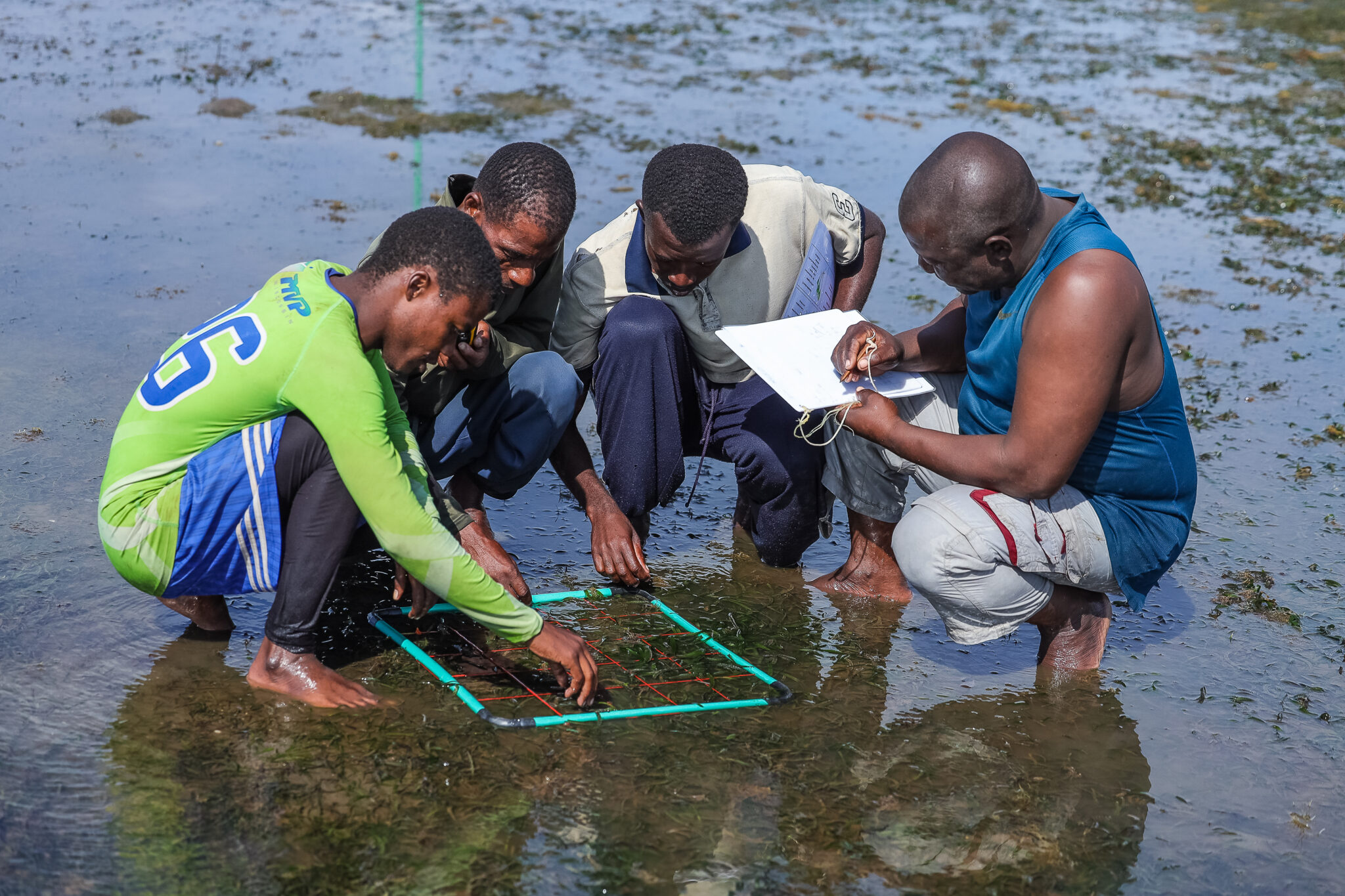 Marine Conservation